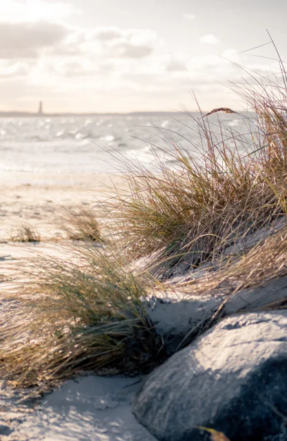 Dünenlandschaft in Schleswig-Holstein, weicher Sand und Küstenvegetation